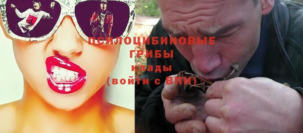 эйфоретик Алзамай