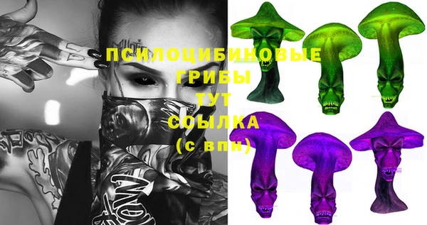 крисы Киреевск