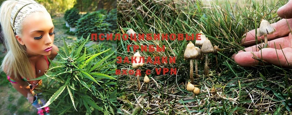 ALPHA PVP Алексин